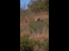 SAUSALITO GRAVITY EXPERIENCE RIDER 88 Jorge Vargas