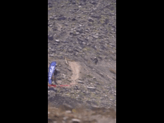 ENDURO SERIES LA PARVA Round 1 Enduro 1 Rider 89 Vicente Irarrazabal