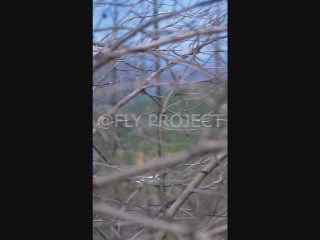 TALCA TOUR NACIONAL DH QUALY  VIDEO RIDER 53 Jose Miguel Nuñez Perez