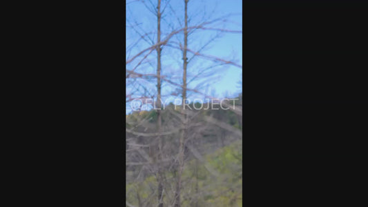 TALCA TOUR NACIONAL DH QUALY  VIDEO RIDER 174 Bruno Benucci