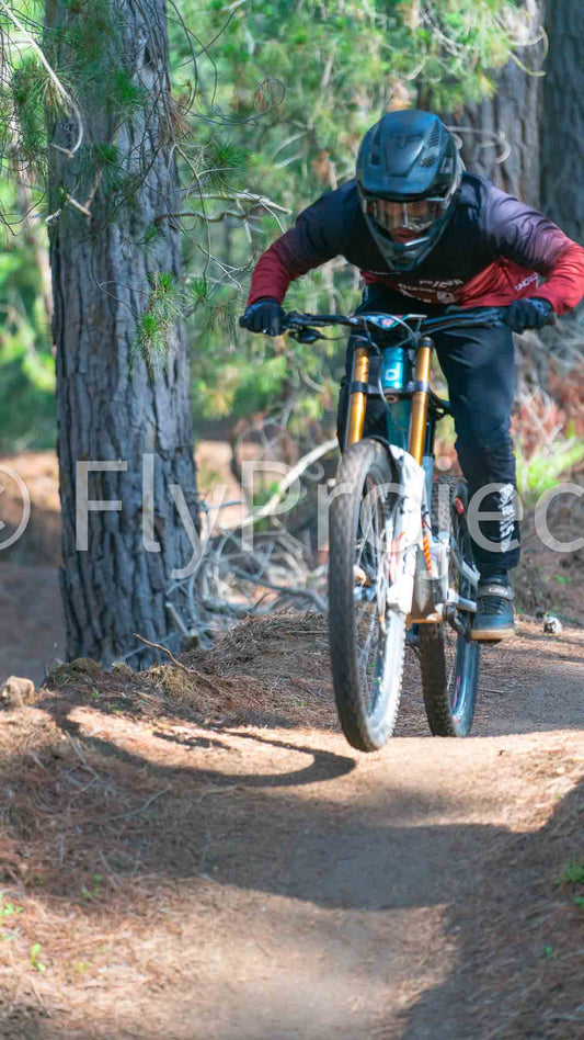 Ducks on Wheels Supreme Dh Commencal Sin Numero