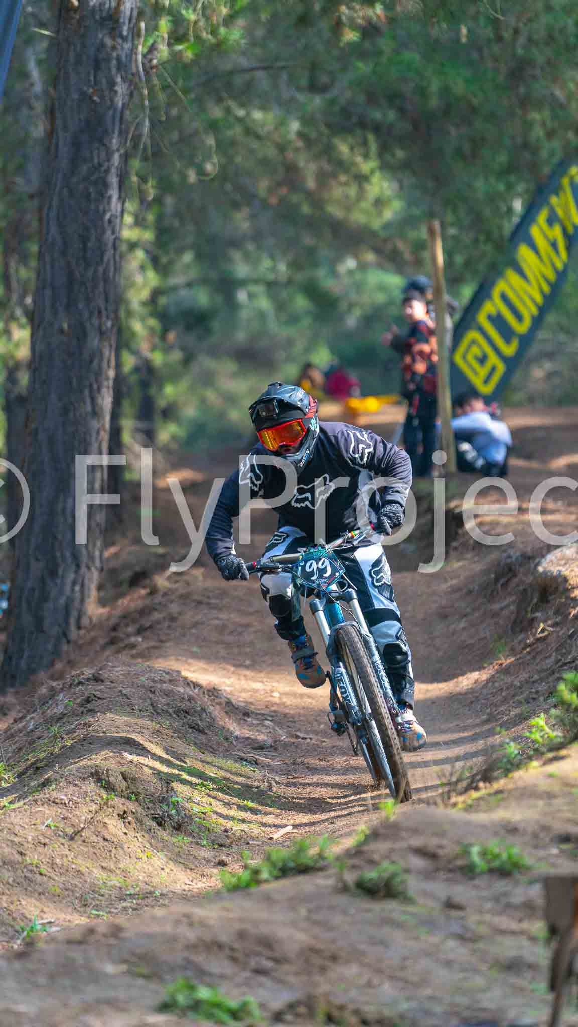 Ducks on Wheels Rider 99