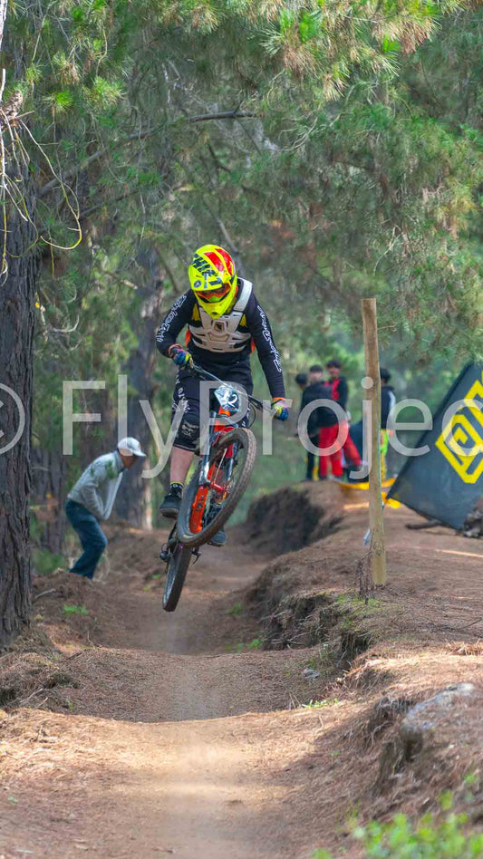 Ducks on Wheels Rider 12