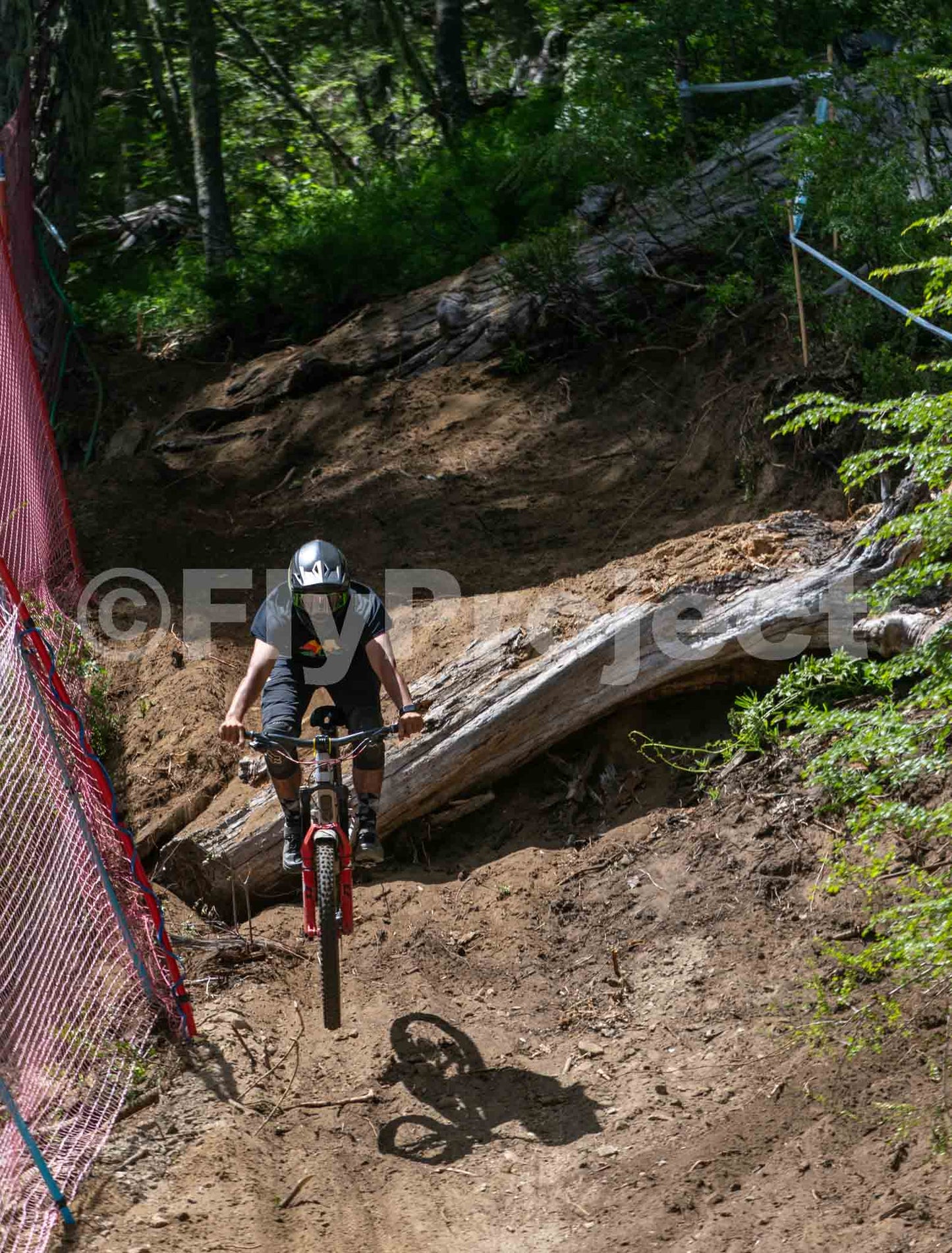 OPEN SHIMANO #3 Nevados de Chillan