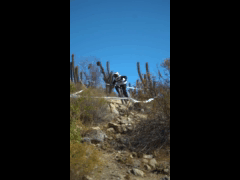 DEACHE SERIES Punitaqui 2023 Rider 243 Antonio Ignacio Ferreira Leon