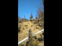 DEACHE SERIES Punitaqui 2023 Rider 298 Javier Emilio Lopez Barraza