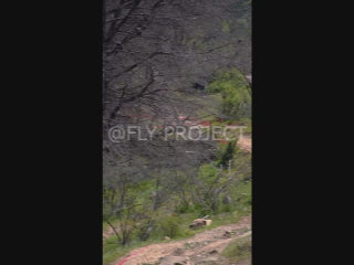 TALCA TOUR NACIONAL DH QUALY  VIDEO RIDER 127 Vicente Mardones Viñuela