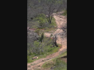 TALCA TOUR NACIONAL DH QUALY  VIDEO RIDER 150 Ricardo Silva Valdez
