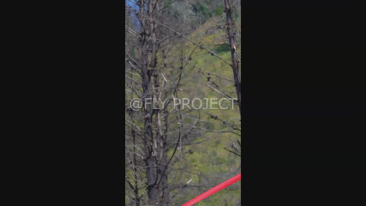 TALCA TOUR NACIONAL DH QUALY  VIDEO RIDER 109 Matias Jamet Fierro