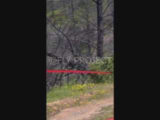TALCA TOUR NACIONAL DH QUALY  VIDEO RIDER 173 Jurgen Reinbach