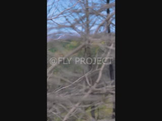 TALCA TOUR NACIONAL DH QUALY  VIDEO RIDER 54 Gabriel Galaz Vega
