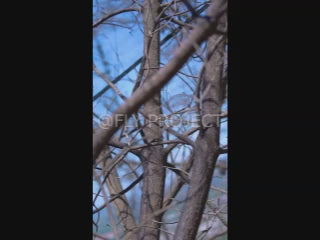 TALCA TOUR NACIONAL DH QUALY  VIDEO RIDER 166 Franco Campos Valenzuela