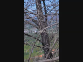 TALCA TOUR NACIONAL DH QUALY  VIDEO RIDER 62 Gonzalo Hernandez Cuevas