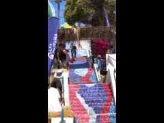 DH URBANO PARTE ALTA COQUIMBO QUALY RIDER 89 DANIELA NEUMANN